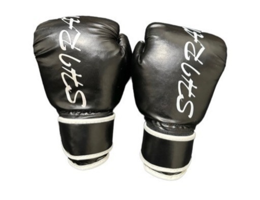 ボクシンググローブ (天野) 松戸の武道、格闘技《ボクシング》の