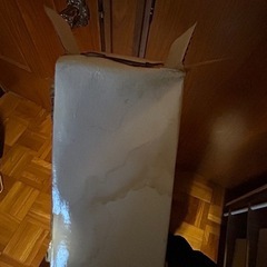 ゼンスイライトの画像