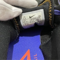 ★NIKE TRAIL 23.5センチ CW3809-005の画像