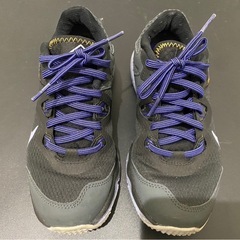 ★NIKE TRAIL 23.5センチ CW3809-005の画像