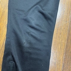 PUMAジャージ(M)レディースの画像