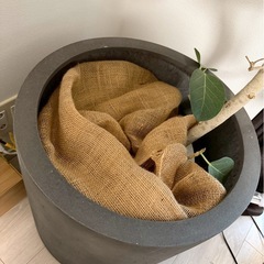 【garage】円柱型 植木鉢の画像