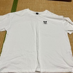 ⓪レディース　半袖　7部　の画像