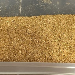 コバエ・ダニさよなら昆虫専用マットの画像