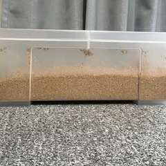 コバエ・ダニさよなら昆虫専用マットの画像