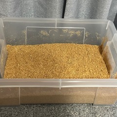 コバエ・ダニさよなら昆虫専用マットの画像