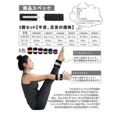 アンクルウェイト　おもり　0.5Kg×2の画像