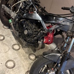 HONDA VT250Fの画像