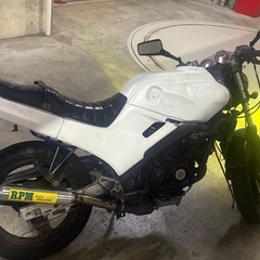 HONDA VT250Fの画像