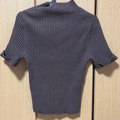 半袖　ニットの画像