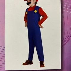【美品】マリオとルイージの衣装の画像