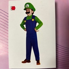 【美品】マリオとルイージの衣装の画像