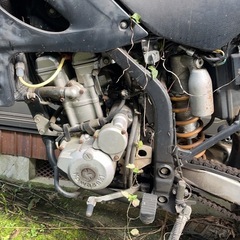 klx250の画像
