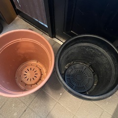 大きい鉢2個の画像