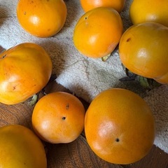 柿　かき　二郎柿（4個）の画像