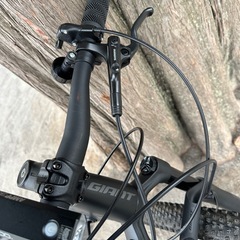 Giant XTC SLR29 マウンテンバイク
の画像
