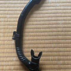 シュノーケル(メーカー不明)の画像