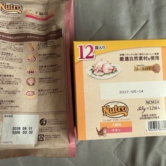 子猫用ご飯の画像
