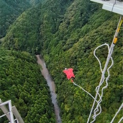 215mのバンジーに挑戦する方募集〜！