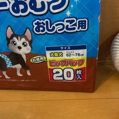 犬用紙オムツ　男の子よう用の画像