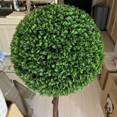 フェイクグリーン（観葉植物・無料・自宅引き取り）の画像