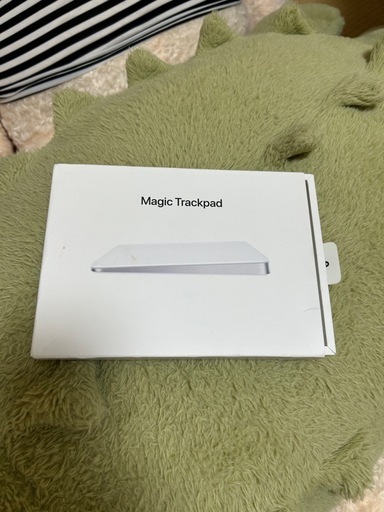 iPad Magic Trackpad