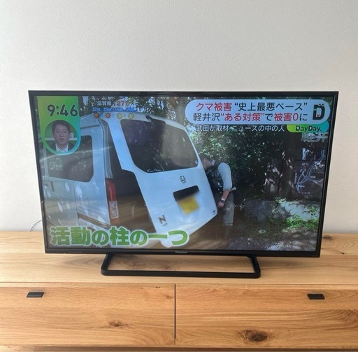 Panasonic VIERA C300 42型 
