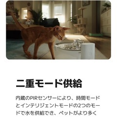 自動給水器 エルフィンファウンテン フィルター2個の画像