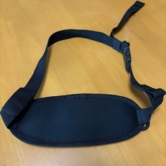  未使用　イグニオ　ウォーキングポーチの画像