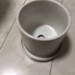 陶器　鉢　中古の画像
