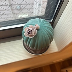 リヤドロ　サボテン　伊勢丹購入の画像