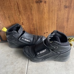 27cm Reebok×ジュラシックパークの画像