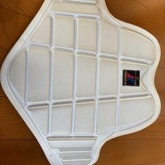 Mizuno空手 防具セット中古品の画像