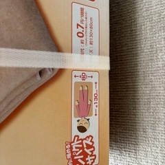 電気しき毛布（新品）の画像