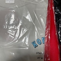 コブクロ2021年ファンフェスタTシャツ＆マフラータオルの画像