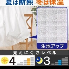 レースカーテン　ニトリ　アラン　２枚組の画像