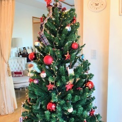 ヨーロッパ製 クリスマスツリーの画像