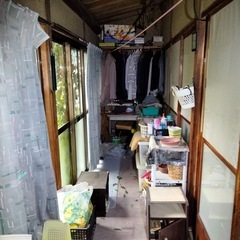 まとめて無料！の画像