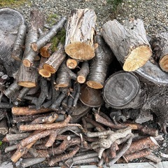 今年伐採した薪です。の画像
