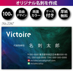 名刺印刷 100枚 両面 フルカラー 紙ケース付 No.2…