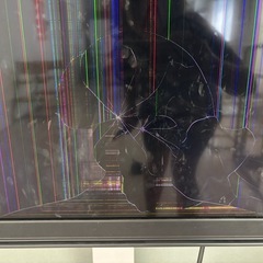 REGZA 65インチ液晶割れの画像