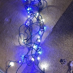 イルミネーション 防滴LEDライトの画像
