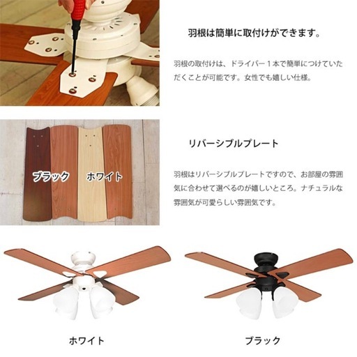 シーリングファンライト