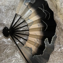 扇子🪭の画像