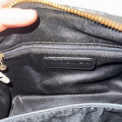 Monalisa bag
の画像