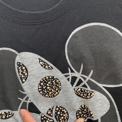 M ミニー　長袖の画像