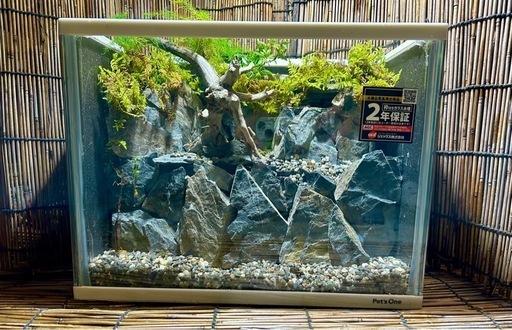 水の流れる滝テラリウム水槽