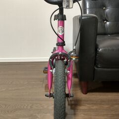 ストライダー 14Xの画像