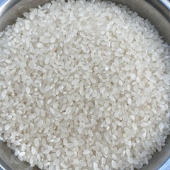新米　減農薬　お米　10kg 8,000円の画像