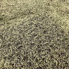 【開封済み・未使用】芝生風円形ラグマットの画像